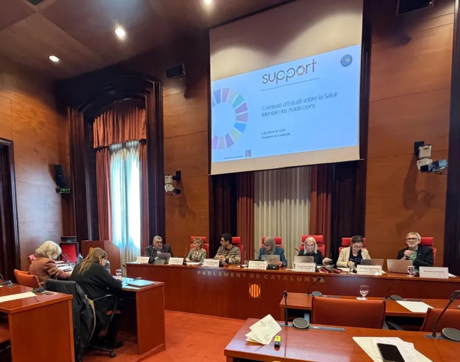 Visió de la sala durant la intervenció de Josep Maria Solé