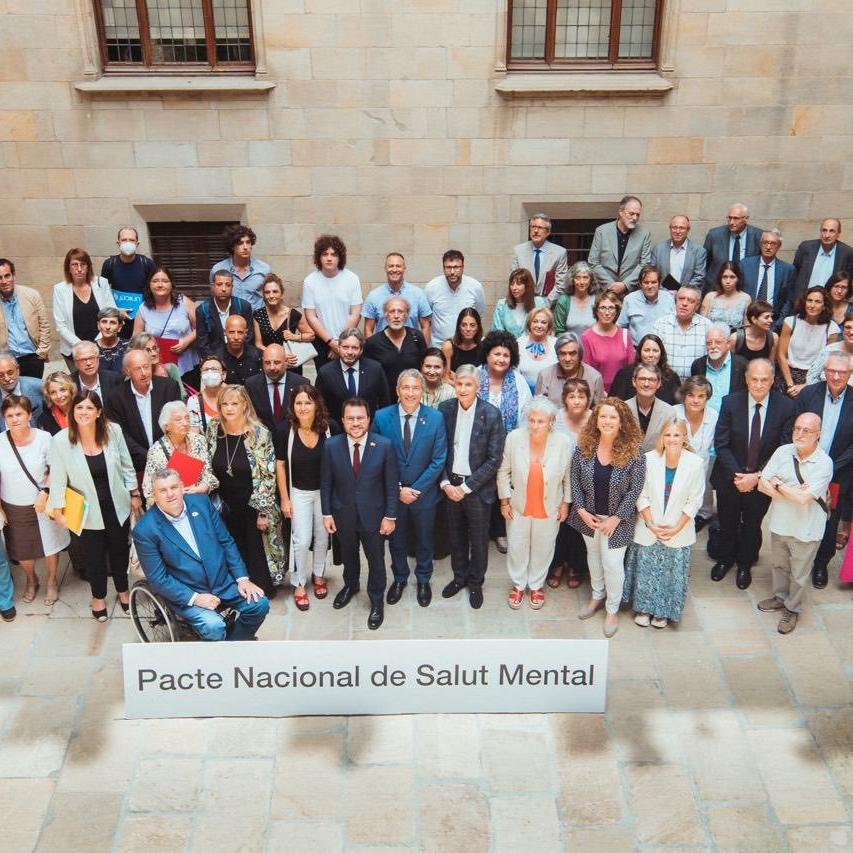 Constituïda la Taula del Pacte Nacional de Salut Mental