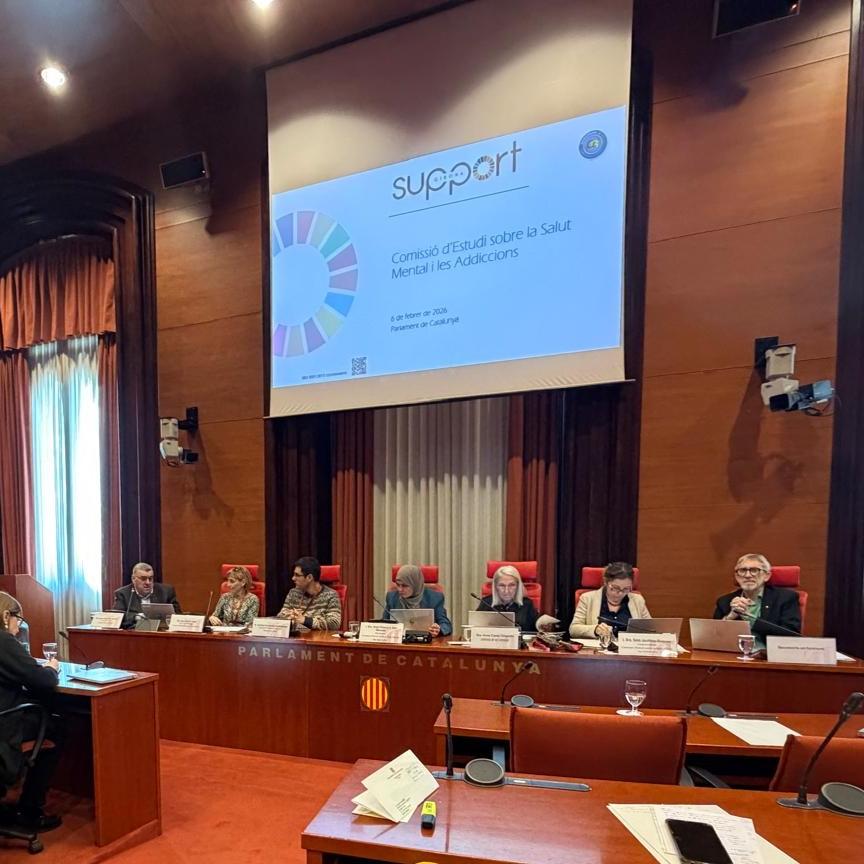 Visió de la sala durant la intervenció de Josep Maria Solé